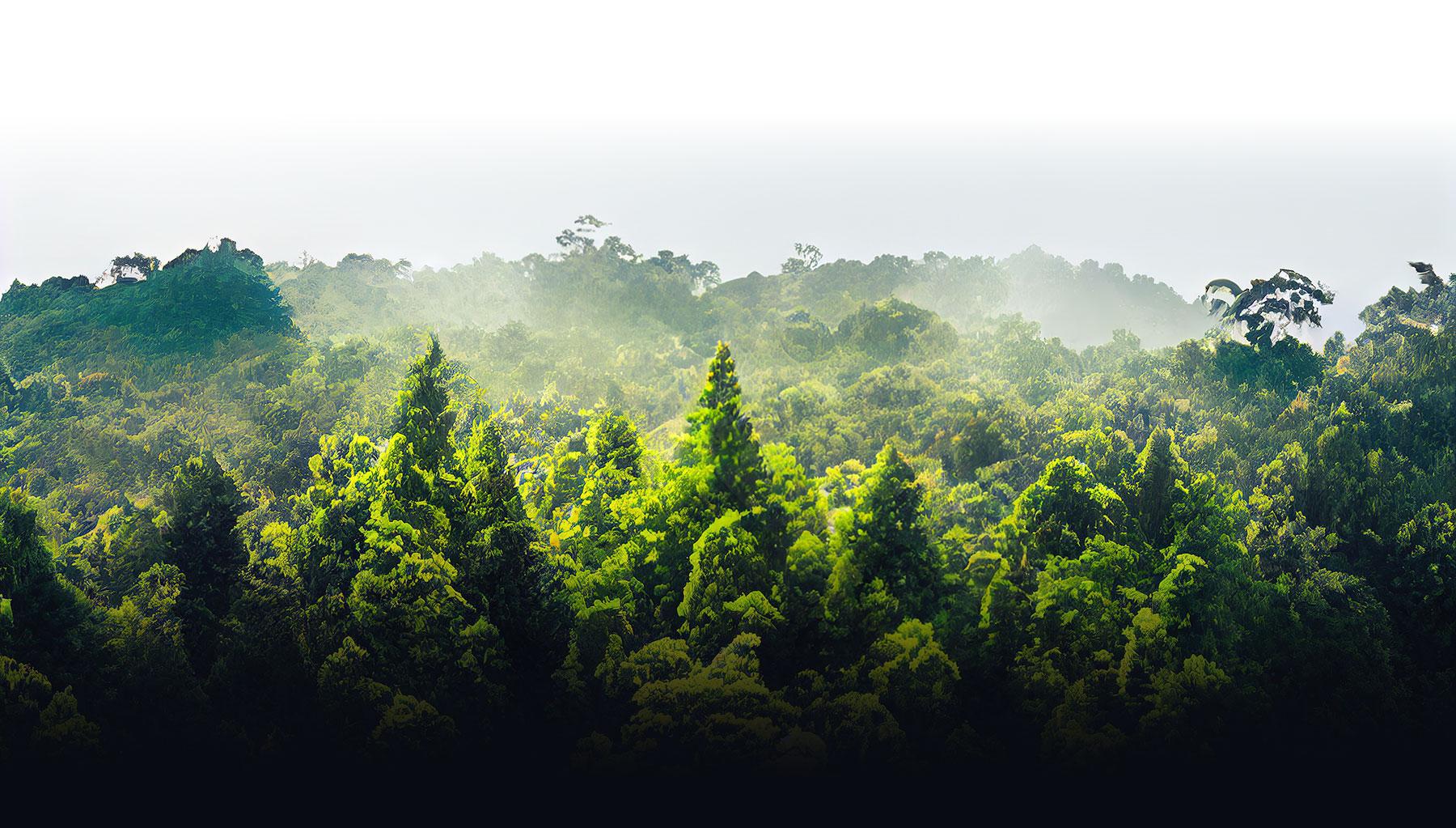 Duurzaam tropisch hardhout - Denderwood