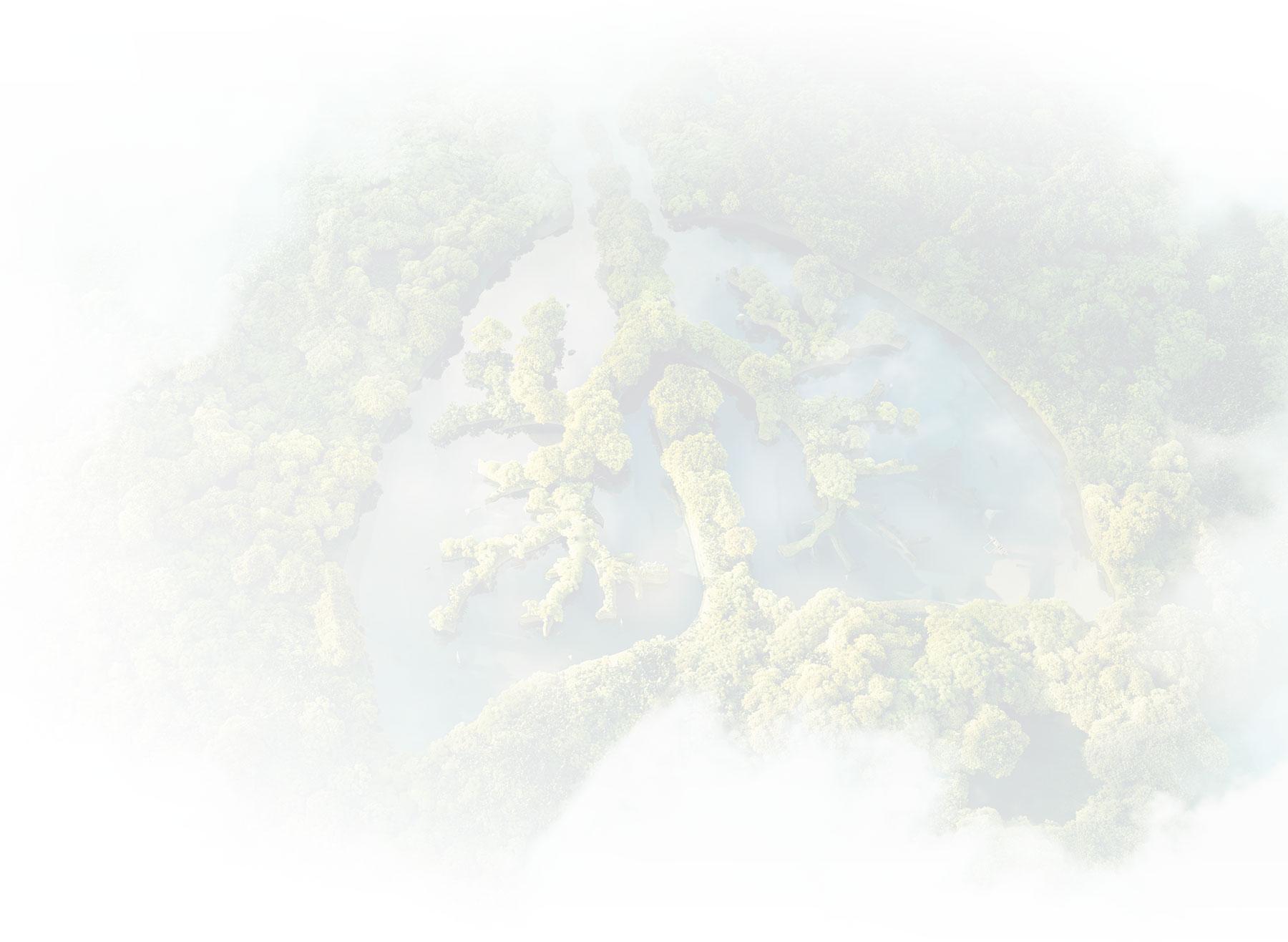 Sustainable tropical hardwood - Denderwood Sustainable tropical hardwood - Denderwood