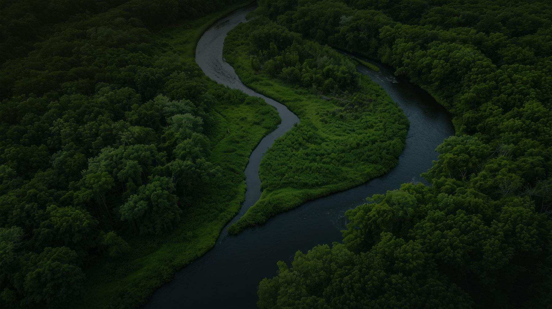 Sustainable tropical hardwood - Denderwood Sustainable tropical hardwood - Denderwood